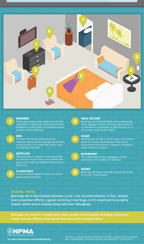 Bed Bug Checklist Infographic - J&J Exterminating